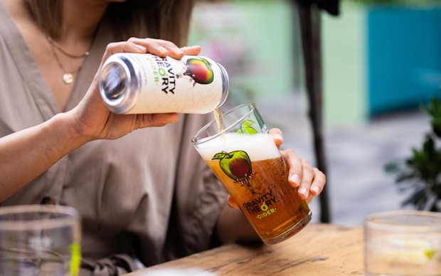 Gravity-Theory-cider