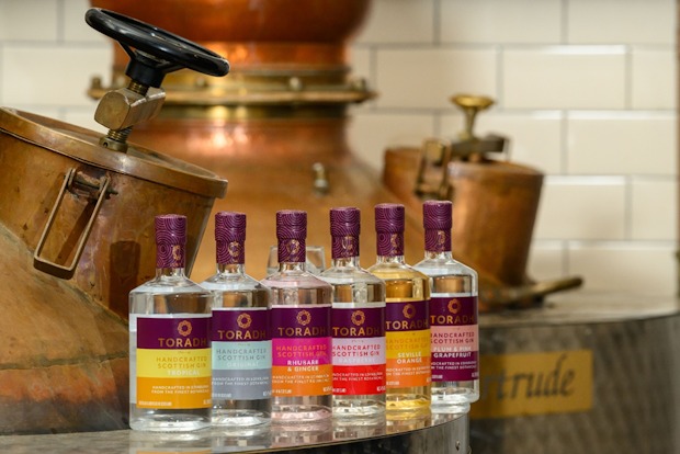 Torradh-Gin-range-Aldi