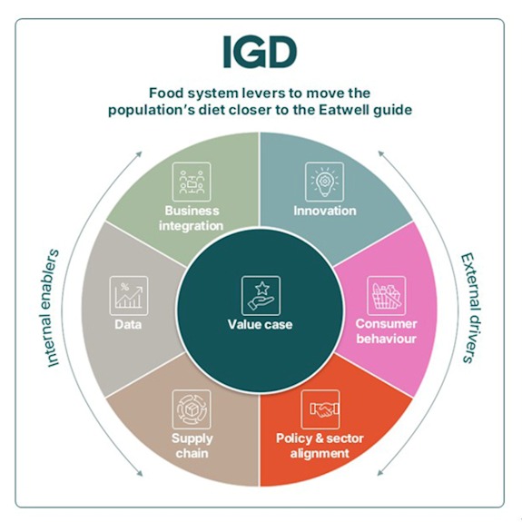 IGD Framework for Population Diet Change