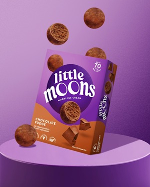 Little-Moons- Chocolate Fudge